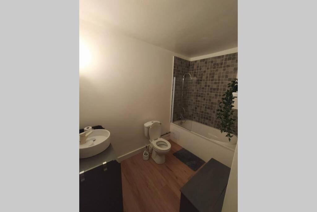 Appartement T2 Cosy Et Chaleureux - 40Mn De Rennes Plumaugat Exterior foto